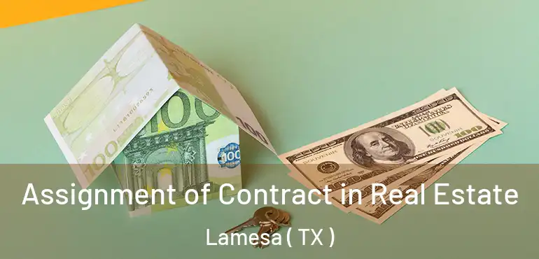  Assignment of Contract in Real Estate Lamesa ( TX )