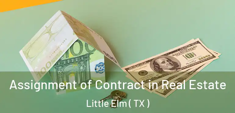  Assignment of Contract in Real Estate Little Elm ( TX )