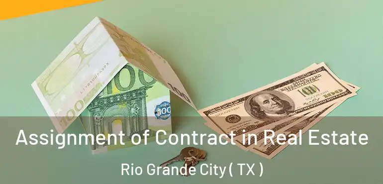  Assignment of Contract in Real Estate Rio Grande City ( TX )