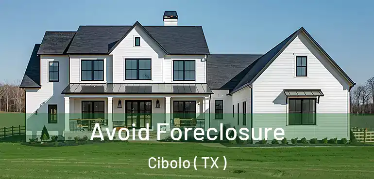  Avoid Foreclosure Cibolo ( TX )
