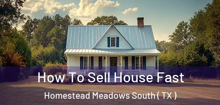  How To Sell House Fast Homestead Meadows South ( TX )