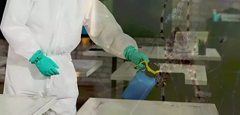 Why Buyers Still Want Homes With Pest Infestations in Balch Springs, TX?