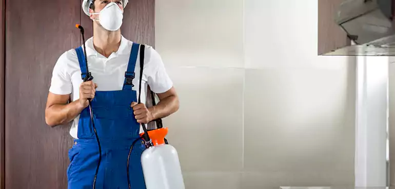 Why Balch Springs Homeowners Choose Us When Pests Make Selling Difficult