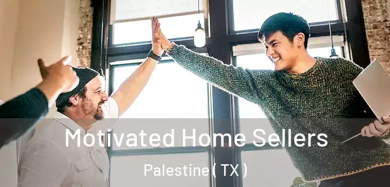  Motivated Home Sellers Palestine ( TX )
