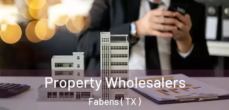  Property Wholesalers Fabens ( TX )