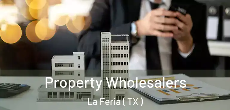  Property Wholesalers La Feria ( TX )