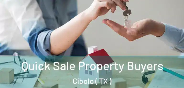  Quick Sale Property Buyers Cibolo ( TX )