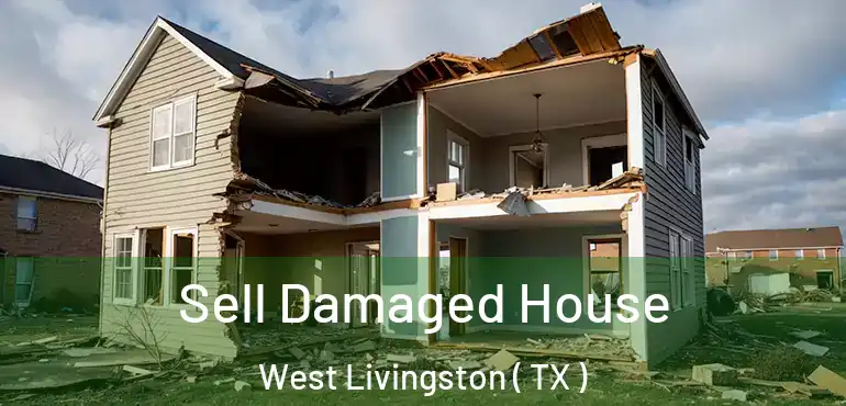  Sell Damaged House West Livingston ( TX )