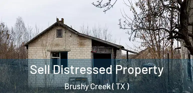  Sell Distressed Property Brushy Creek ( TX )