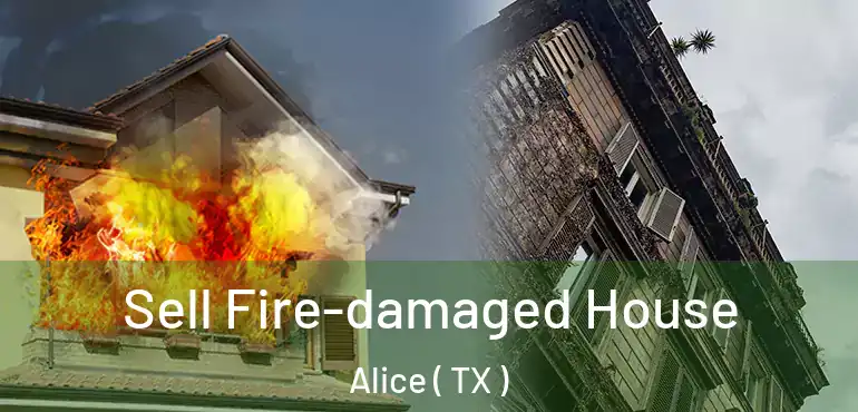  Sell Fire-damaged House Alice ( TX )