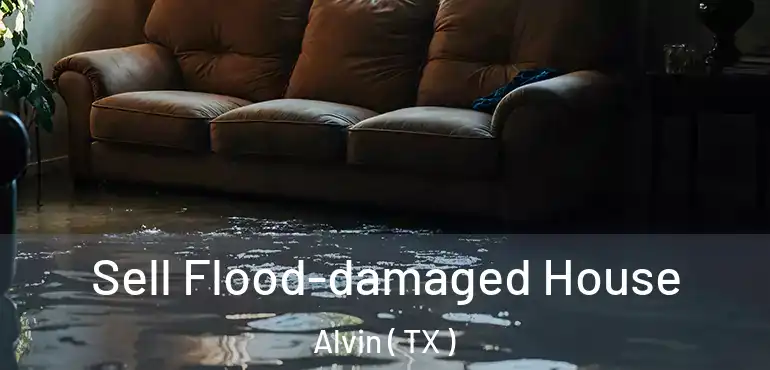  Sell Flood-damaged House Alvin ( TX )