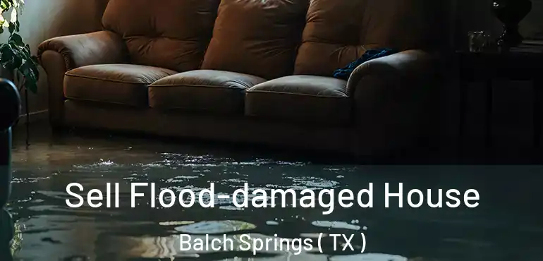  Sell Flood-damaged House Balch Springs ( TX )