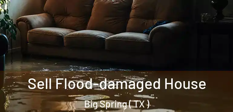  Sell Flood-damaged House Big Spring ( TX )