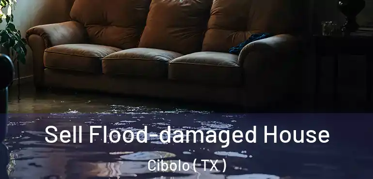  Sell Flood-damaged House Cibolo ( TX )