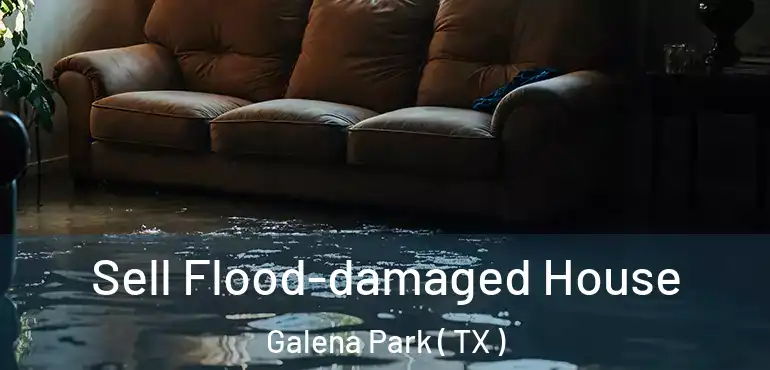  Sell Flood-damaged House Galena Park ( TX )