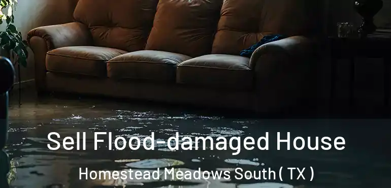  Sell Flood-damaged House Homestead Meadows South ( TX )