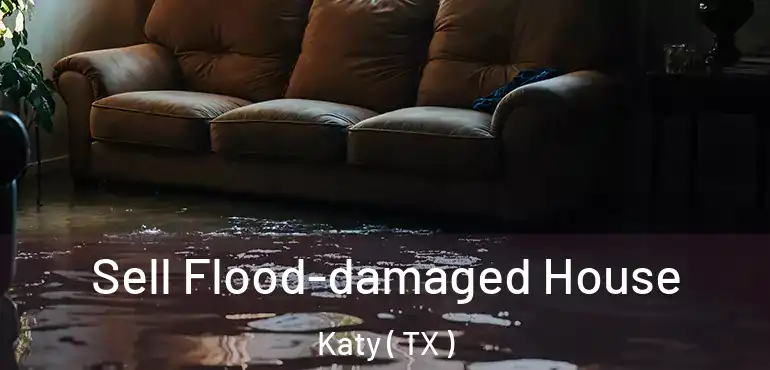  Sell Flood-damaged House Katy ( TX )