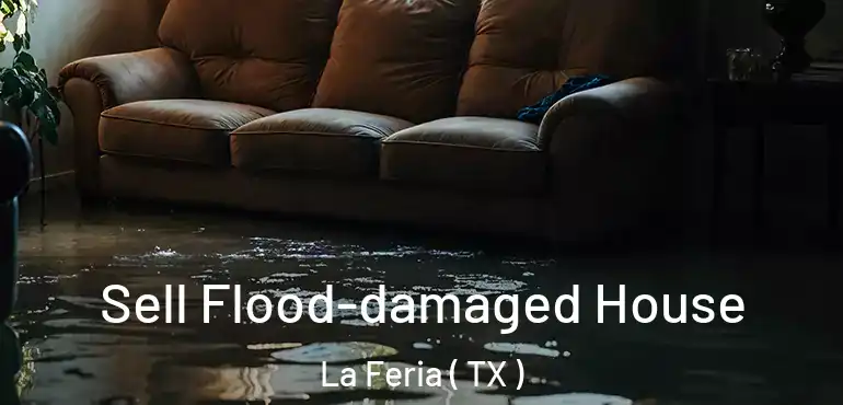  Sell Flood-damaged House La Feria ( TX )