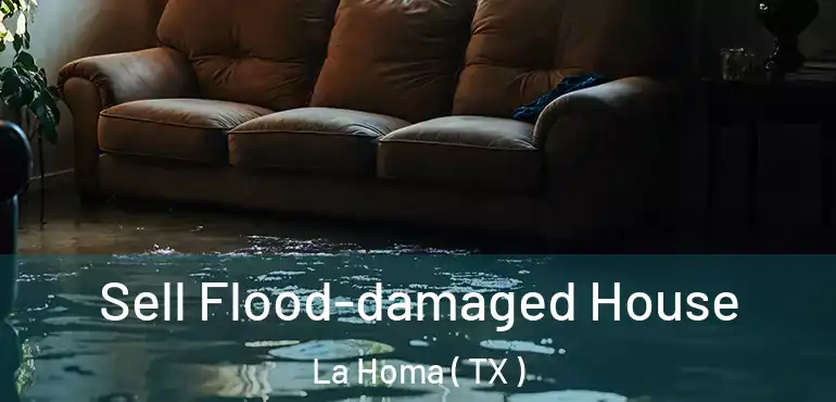  Sell Flood-damaged House La Homa ( TX )