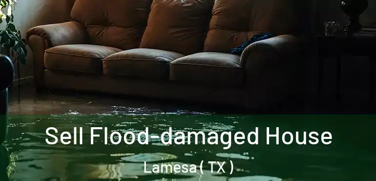  Sell Flood-damaged House Lamesa ( TX )