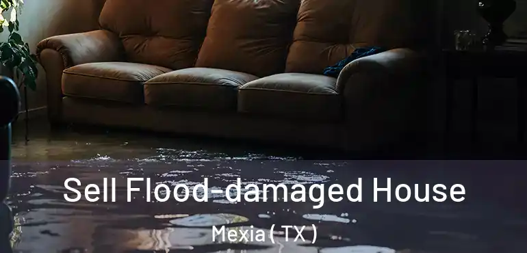  Sell Flood-damaged House Mexia ( TX )