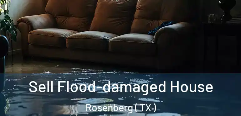  Sell Flood-damaged House Rosenberg ( TX )