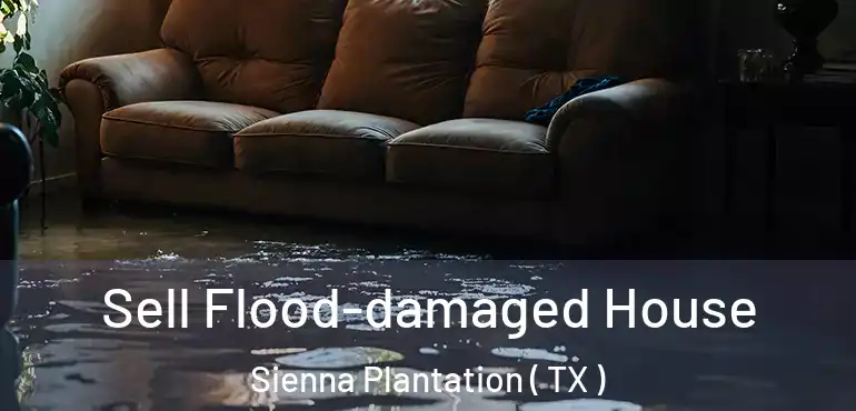  Sell Flood-damaged House Sienna Plantation ( TX )