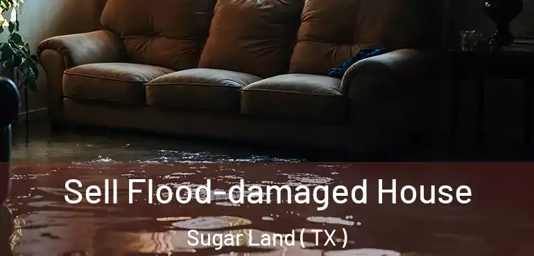  Sell Flood-damaged House Sugar Land ( TX )