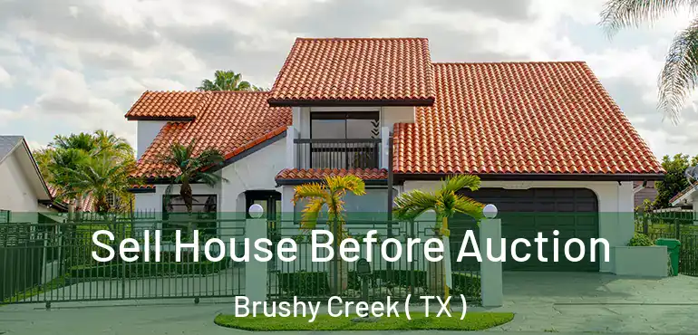  Sell House Before Auction Brushy Creek ( TX )