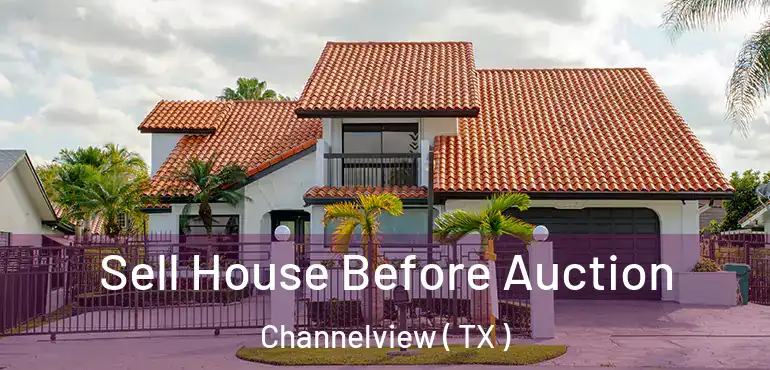  Sell House Before Auction Channelview ( TX )