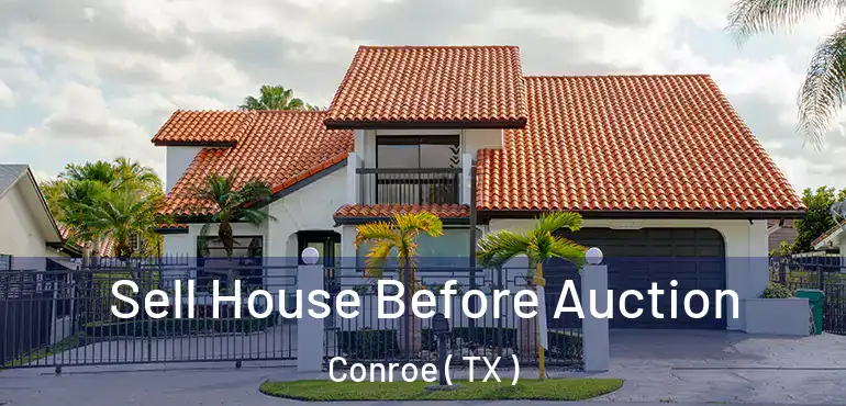  Sell House Before Auction Conroe ( TX )