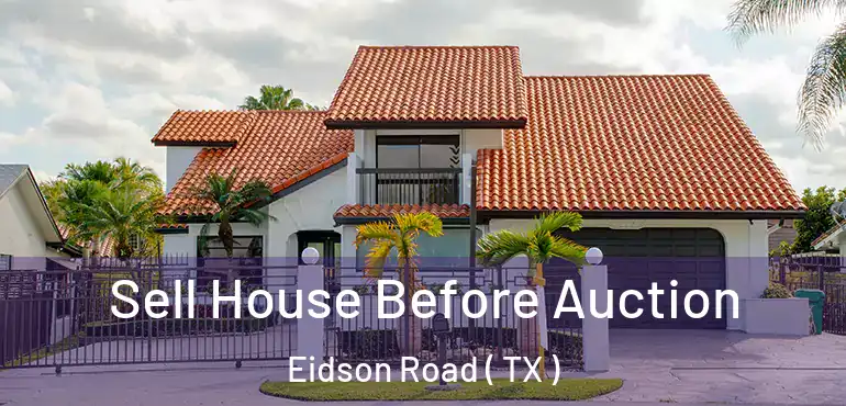 Sell House Before Auction Eidson Road ( TX )