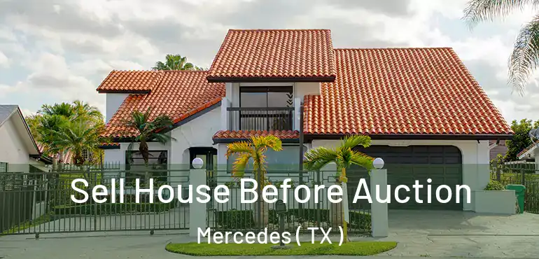  Sell House Before Auction Mercedes ( TX )