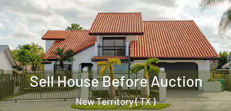  Sell House Before Auction New Territory ( TX )