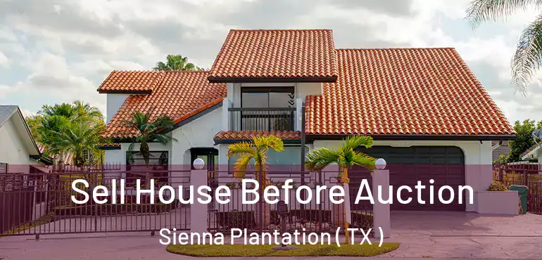  Sell House Before Auction Sienna Plantation ( TX )