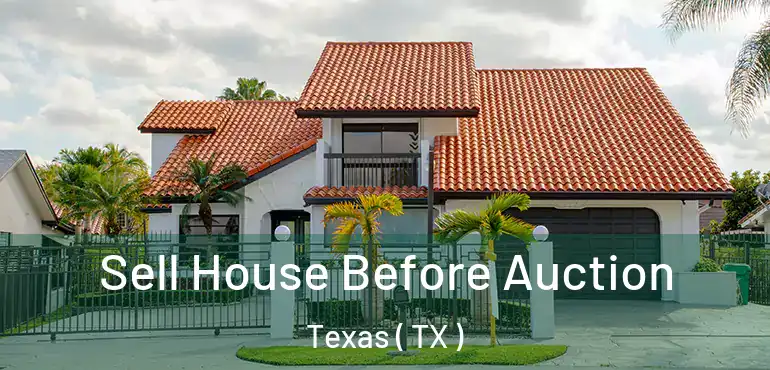  Sell House Before Auction Texas ( TX )