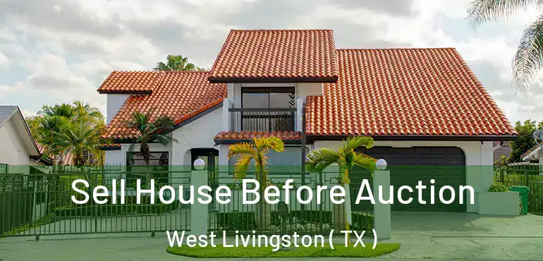  Sell House Before Auction West Livingston ( TX )