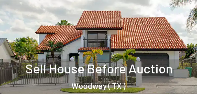  Sell House Before Auction Woodway ( TX )