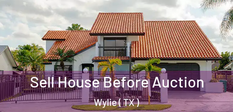  Sell House Before Auction Wylie ( TX )