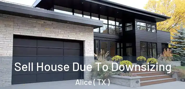  Sell House Due To Downsizing Alice ( TX )