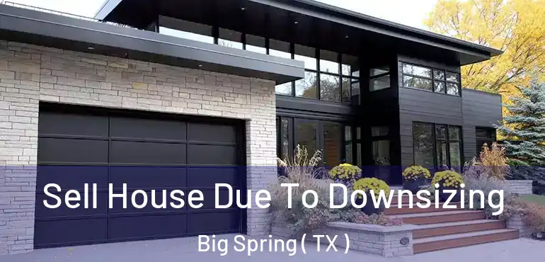  Sell House Due To Downsizing Big Spring ( TX )