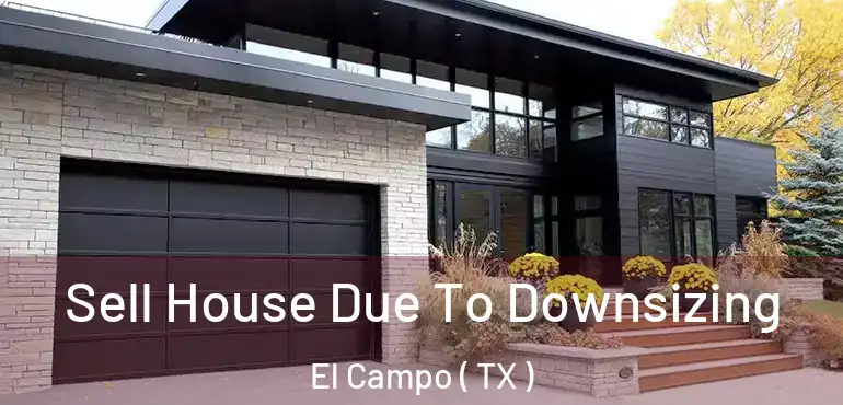  Sell House Due To Downsizing El Campo ( TX )