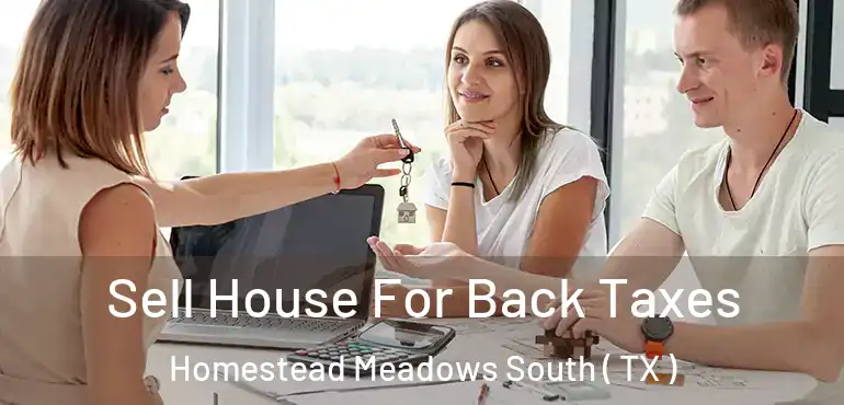  Sell House For Back Taxes Homestead Meadows South ( TX )