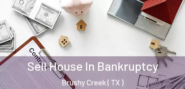  Sell House In Bankruptcy Brushy Creek ( TX )