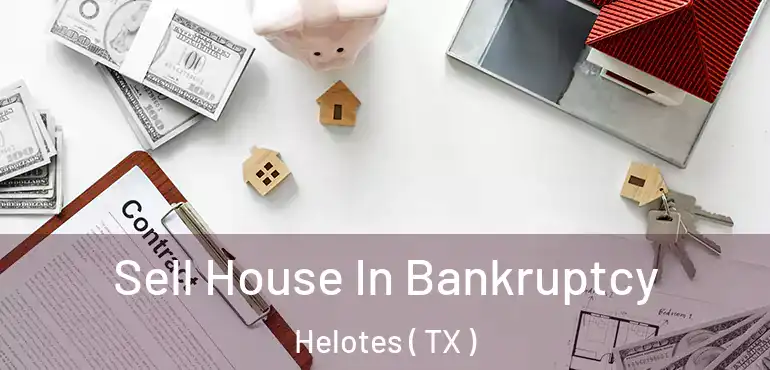  Sell House In Bankruptcy Helotes ( TX )