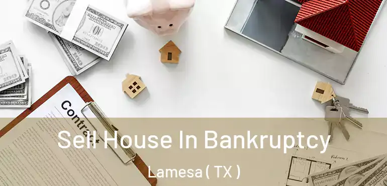  Sell House In Bankruptcy Lamesa ( TX )