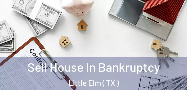  Sell House In Bankruptcy Little Elm ( TX )