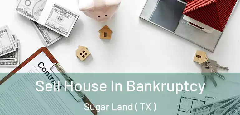  Sell House In Bankruptcy Sugar Land ( TX )