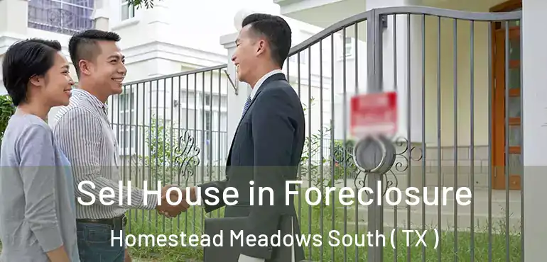  Sell House in Foreclosure Homestead Meadows South ( TX )