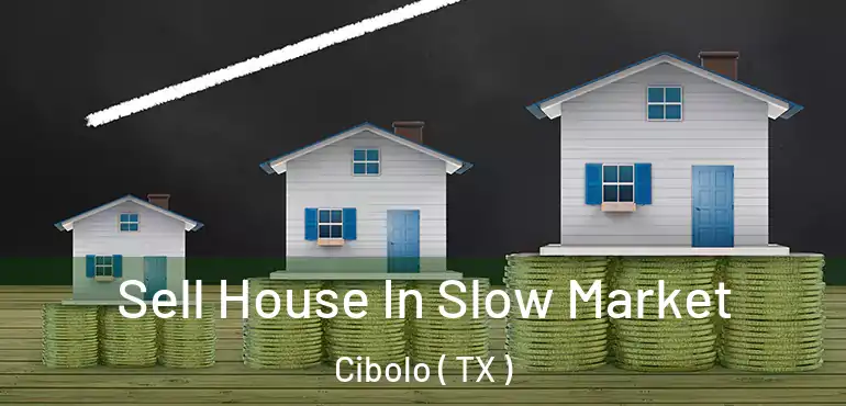  Sell House In Slow Market Cibolo ( TX )